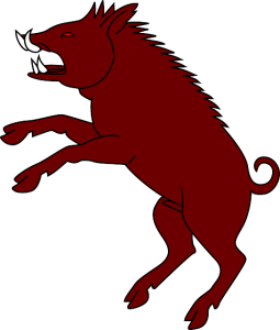 boar-305509_640