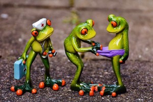 frogs-1672919_640