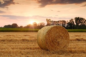 straw-bales-3521063__340